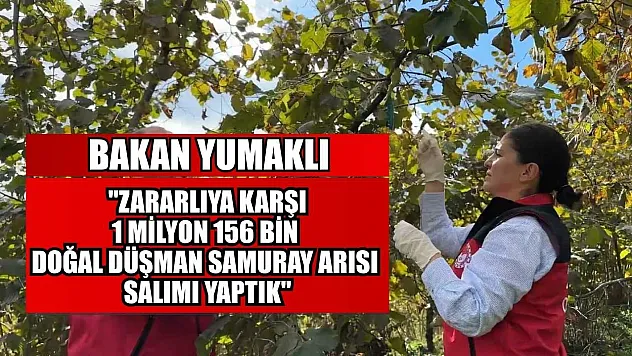 Bakan Yumaklı: 'Zararlıya karşı 1 milyon 156 bin doğal düşman samuray arısı salımı yaptık'