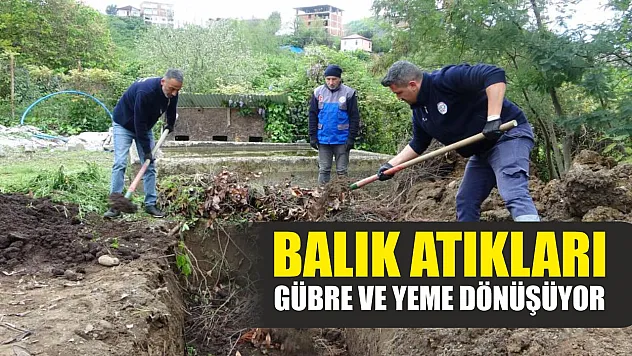 Balık atıkları gübre ve yeme dönüşüyor