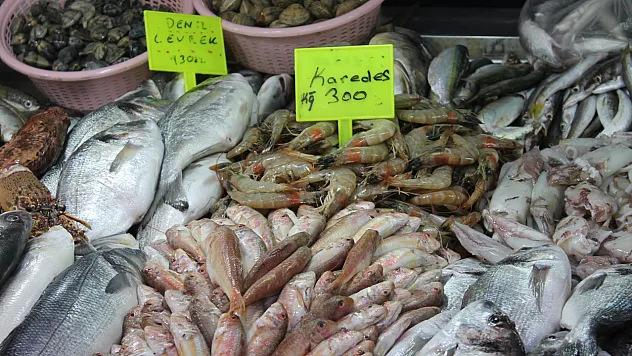 Balık fiyatları cep yakıyor