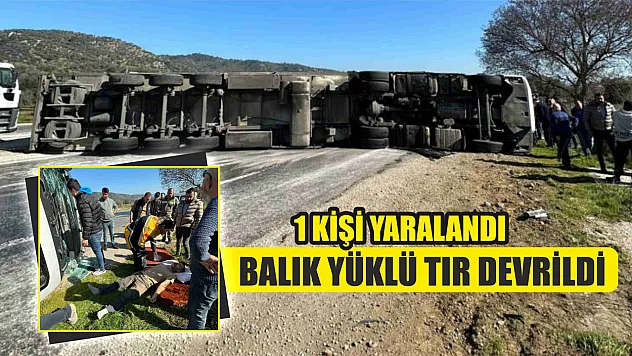 Balık yüklü tır devrildi, 1 kişi yaralandı