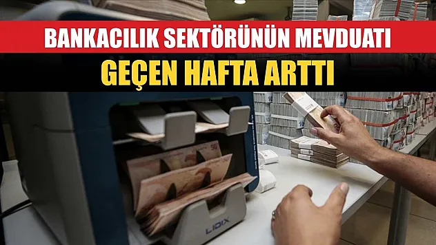 Bankacılık sektörünün mevduatı geçen hafta arttı