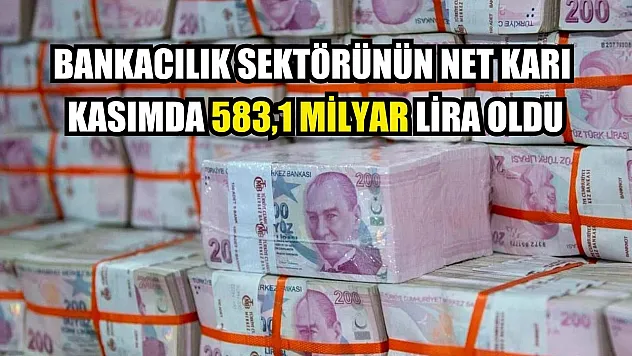 Bankacılık sektörünün net karı kasımda 583,1 milyar lira oldu