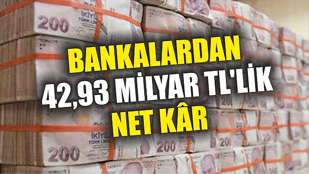 Bankalardan 42,93 milyar TL'lik net kâr