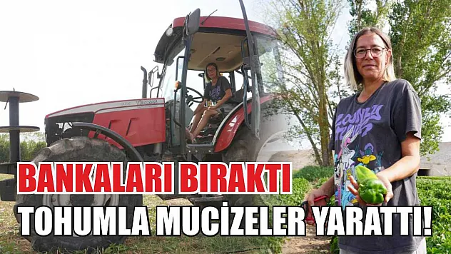 Bankaları Bıraktı, Tohumla Mucizeler Yarattı!