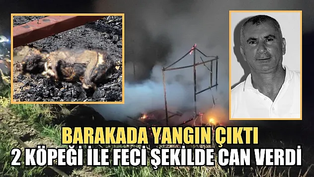 Barakada yangın çıktı 2 köpeği ile feci şekilde can verdi