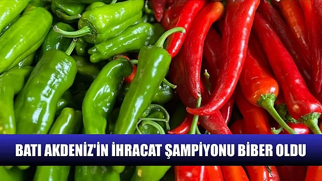 Batı Akdeniz'in ihracat şampiyonu biber oldu