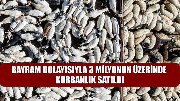Bayram dolayısıyla 3 milyonun üzerinde kurbanlık satıldı