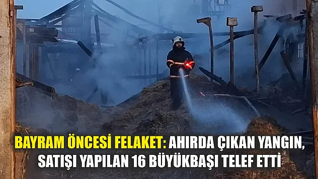 Bayram öncesi felaket: Ahırda çıkan yangın, satışı yapılan 16 büyükbaşı telef etti
