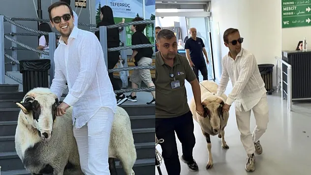 Bayramda keseceği koçla teleferik keyfi yaptı