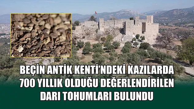 Beçin Antik Kenti'ndeki kazılarda 700 yıllık olduğu değerlendirilen darı tohumları bulundu