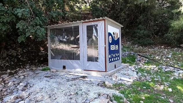 BELEDİYE'DEN KEDİ EVİ PROJESİ