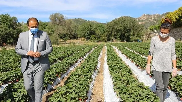 Belediye, tezgaha çıkarılamayan ürünleri halka ulaştırıyor