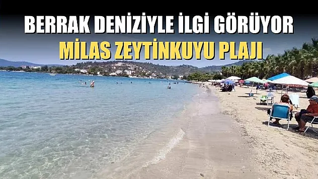 Berrak deniziyle ilgi görüyor: Milas Zeytinkuyu Plajı