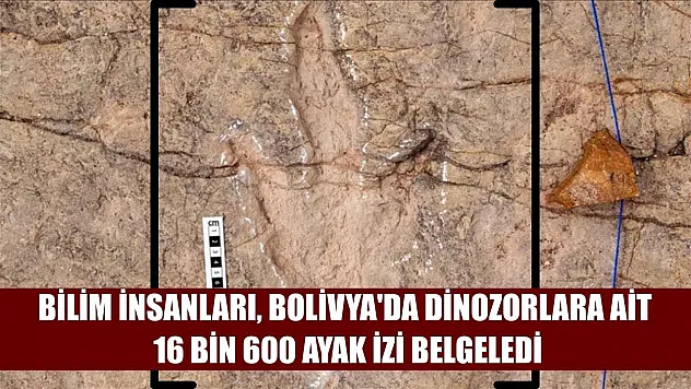 Bilim insanları, Bolivya'da dinozorlara ait 16 bin 600 ayak izi belgeledi