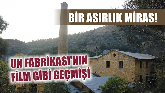 Bir asırlık miras! Un fabrikası'nın film gibi geçmişi