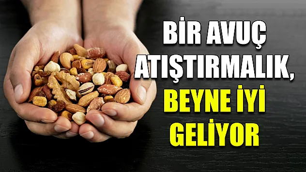 Bir avuç atıştırmalık, beyne iyi geliyor