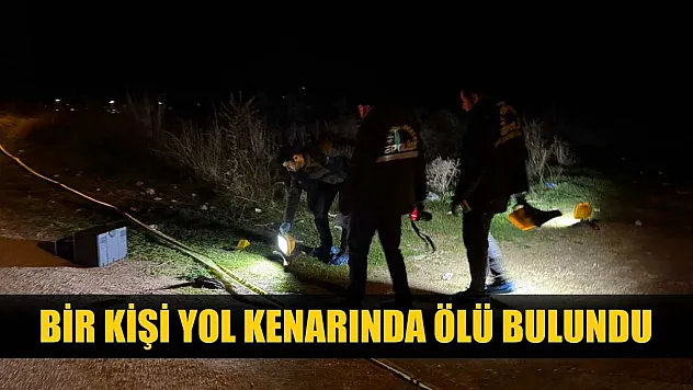 Bir kişi yol kenarında ölü bulundu