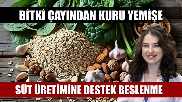 Bitki çayından kuru yemişe: Süt üretimine destek beslenme