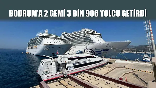 Bodrum'a 2 gemi 3 bin 906 yolcu getirdi