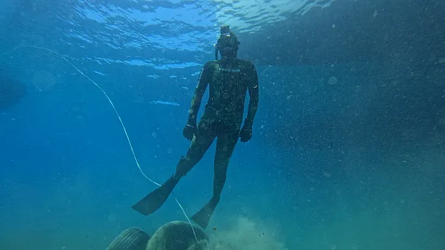 Bodrum açıklarında 40 metre derinliğe uzanan kesintisiz deniz çayırı kuşağı belirlendi