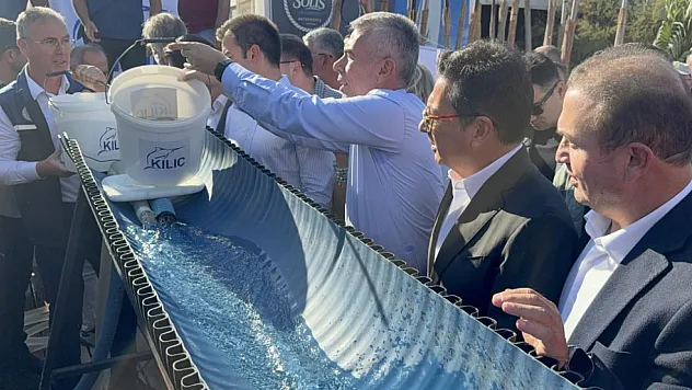 Bodrum Balık festivalinde 6 bin yavru balık denizle buluştu