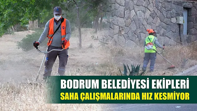 Bodrum Belediyesi ekipleri saha çalışmalarında hız kesmiyor