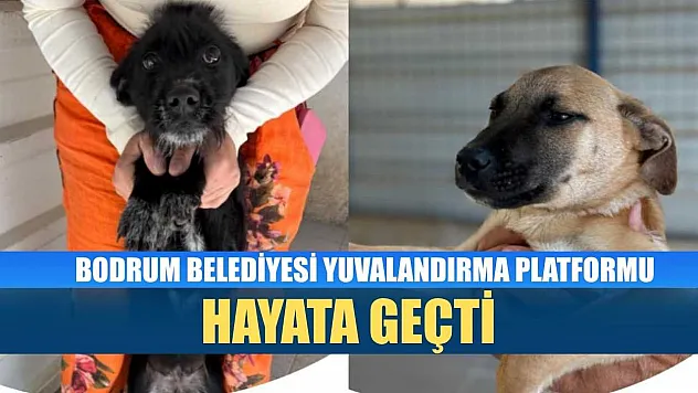 Bodrum Belediyesi Yuvalandırma Platformu hayata geçti
