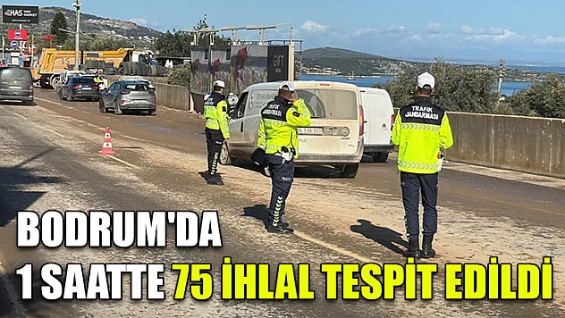 Bodrum'da 1 saatte 75 ihlal tespit edildi
