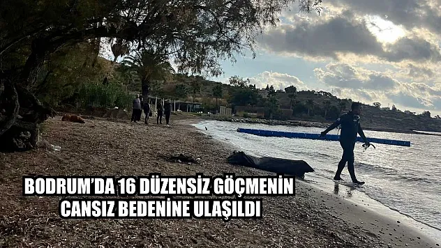 Bodrum'da 16 düzensiz göçmenin cansız bedenine ulaşıldı