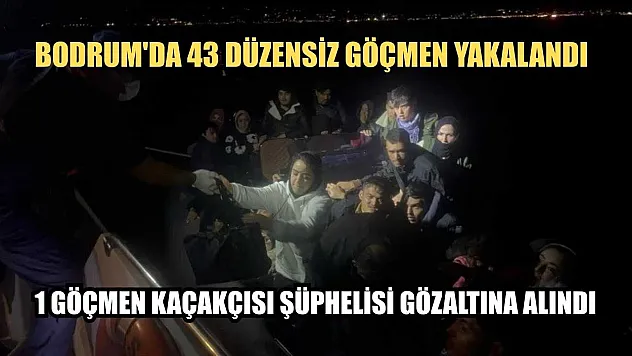 Bodrum'da 43 düzensiz göçmen yakalandı