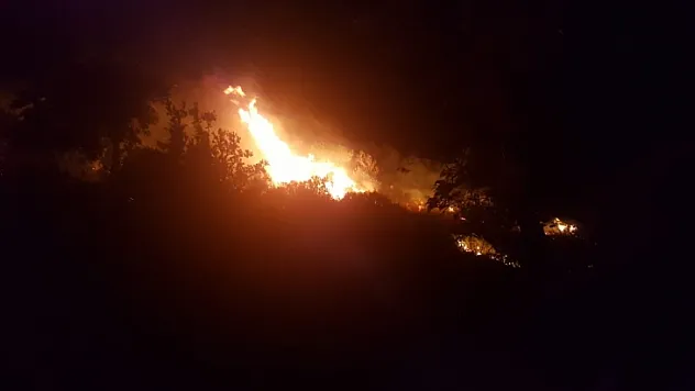 Bodrum'da ağaçlık alanda yangın çıktı