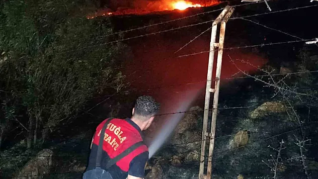 Makilik alanda çıkan yangın geceyi aydınlattı