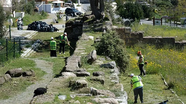 Bodrum'da Antik Halikarnassos Surları'nda temizlik çalışması