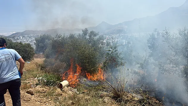 Bodrum'da çıkan yangın büyümeden söndürüldü