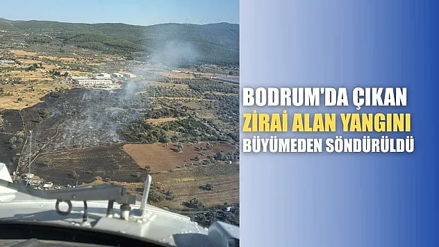 Bodrum'da çıkan zirai alan yangını büyümeden söndürüldü