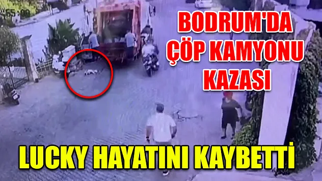 Bodrum'da çöp kamyonu kazası: Lucky hayatını kaybetti