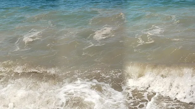 Bodrum'da deniz kirliliği: 'Başsavcılık soruşturma başlattı'