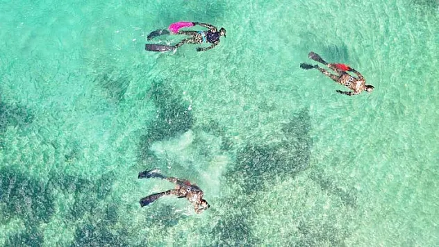 Bodrum'da deniz pırıl pırıl oldu