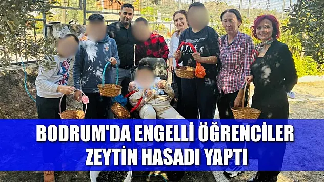 Bodrum'da engelli öğrenciler zeytin hasadı yaptı