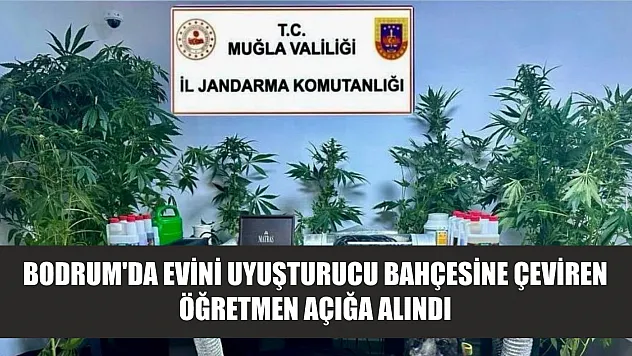 Bodrum'da evini uyuşturucu bahçesine çeviren öğretmen açığa alındı