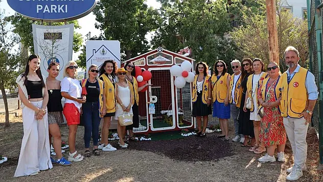 Bodrum'da görme engelli kediler için özel bakımevi açıldı