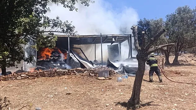 Bodrum'da konteynerde çıkan yangın söndürüldü