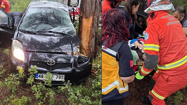 Bodrum'da Kontrolden çıkan otomobil ormanlık alana uçtu: 1 yaralı