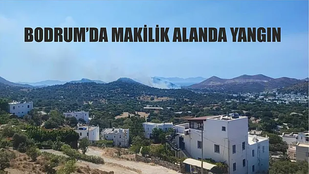 Bodrum'da makilik alanda yangın