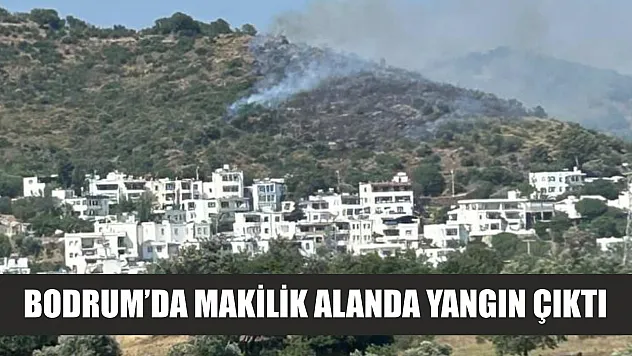 Bodrum'da makilik alanda yangın çıktı