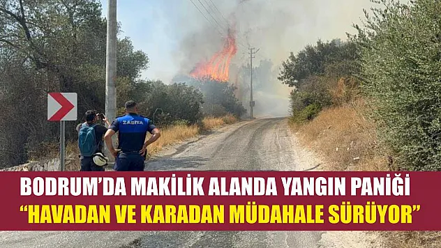 Bodrum'da makilik alanda yangın paniği: 'Havadan ve karadan müdahale sürüyor'