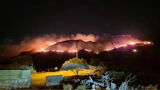 Bodrum'da makilik alanda yangın: 'Alevler rüzgarla hızla yayıldı'