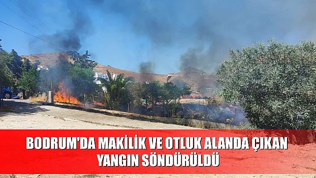 Bodrum'da makilik ve otluk alanda çıkan yangın söndürüldü
