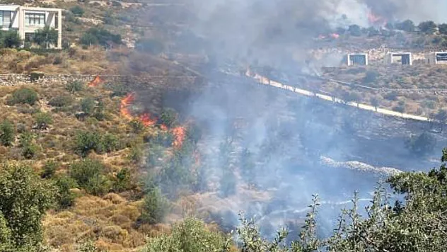 Bodrum'da makilik yangını