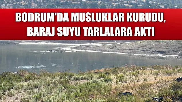 Bodrum'da musluklar kurudu, baraj suyu tarlalara aktı